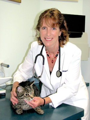 Dr. Ann Middleton of Cheshire Cat Clinic, the premier provider of feline-exclusive veterinary care in San Diego, California