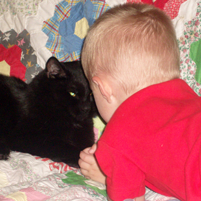 Cheshire Cat Clinic, the premier provider of feline-exclusive veterinary care in San Diego, California Cheshire Cat Clinic, the premier provider of feline-exclusive veterinary care in San Diego, California