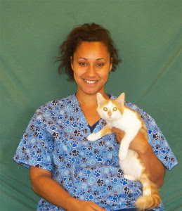 Dee of Cheshire Cat Clinic, the premier provider of feline-exclusive veterinary care in San Diego, California Dee of Cheshire Cat Clinic, the premier provider of feline-exclusive veterinary care in San Diego, California