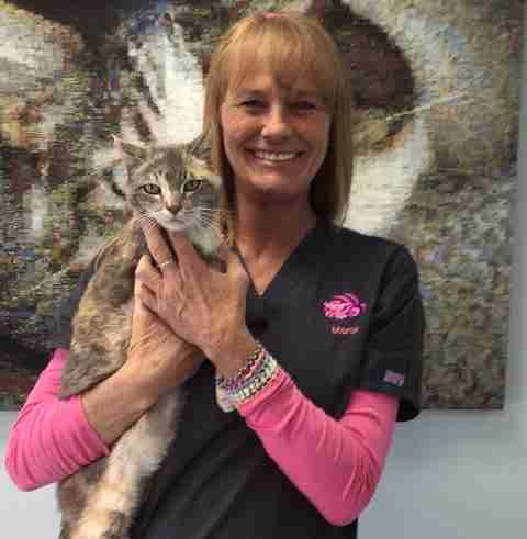 Marta with Daisy of Cheshire Cat Feline Health Center Marta with Daisy of Cheshire Cat Feline Health Center