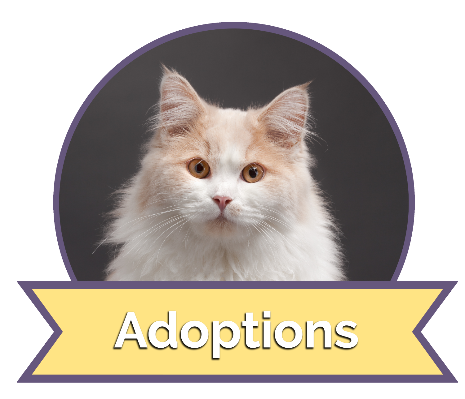 Adoptions Button