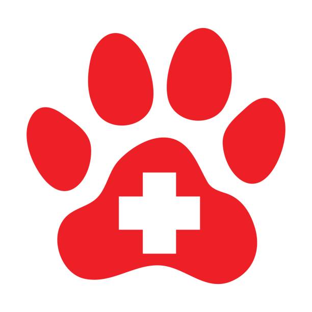 emergency icon