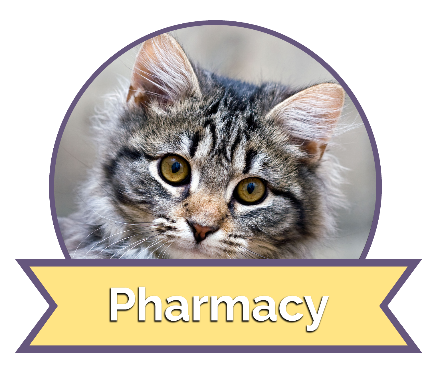 Pharmacy Button